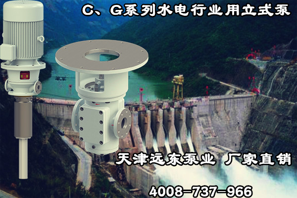 C、G系列水电行业用立式泵 C、G系列水电行业用立式泵