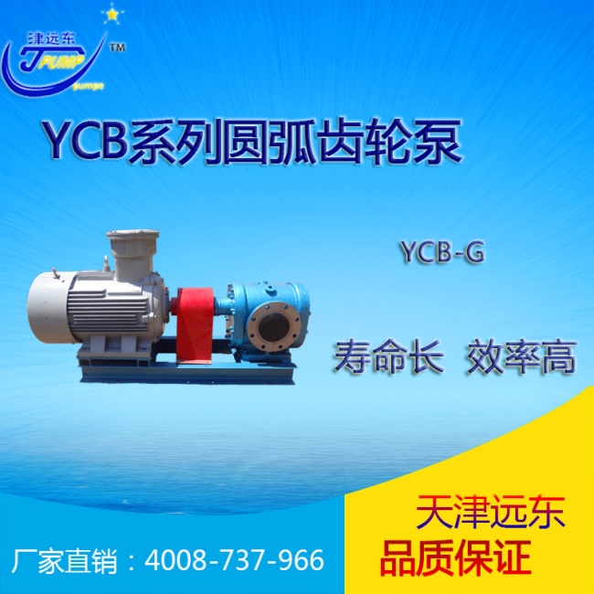 YCB圆弧齿轮泵 YCB圆弧齿轮泵